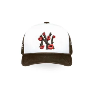 BROWN/WHITE "NY" HAT